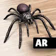 AR Spiders & Co: Scare friends